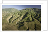 Tejon Ranch in California by Anonymous