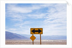 Road warning sign in Death Valley National Park by Anonymous
