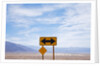 Road warning sign in Death Valley National Park by Anonymous