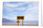 Road warning sign in Death Valley National Park by Anonymous