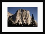Night View of El Capitan, illuminated by a full moon by Anonymous
