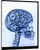 X-ray of skull with gears by Anonymous
