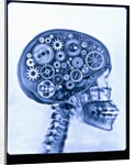 X-ray of skull with gears by Anonymous