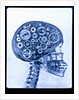 X-ray of skull with gears by Anonymous