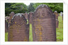 Old Gravestones, Connecticut by Anonymous
