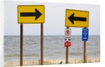 Rehoboth Beach, Delaware by Anonymous