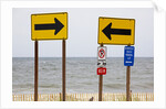 Rehoboth Beach, Delaware by Anonymous