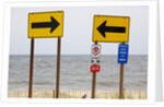Rehoboth Beach, Delaware by Anonymous
