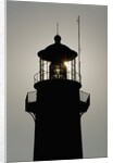 Tybee Lighthouse, Georgia by Anonymous