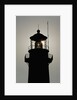 Tybee Lighthouse, Georgia by Anonymous