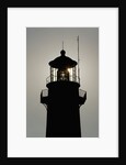 Tybee Lighthouse, Georgia by Anonymous