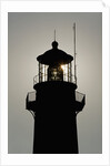 Tybee Lighthouse, Georgia by Anonymous