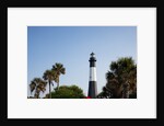 Tybee Lighthouse, Georgia by Anonymous