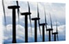Windmills, Wallula, Washington by Anonymous