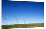 Windmills, Wallula, Washington by Anonymous