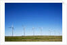 Windmills, Wallula, Washington by Anonymous