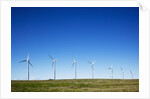 Windmills, Wallula, Washington by Anonymous