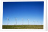 Windmills, Wallula, Washington by Anonymous