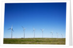 Windmills, Wallula, Washington by Anonymous