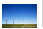 Windmills, Wallula, Washington by Anonymous