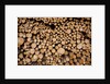 Log Pile at Sawmill, Gulliver, Michigan by Anonymous