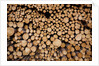 Log Pile at Sawmill, Gulliver, Michigan by Anonymous
