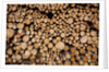 Log Pile at Sawmill, Gulliver, Michigan by Anonymous