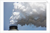 Coal-Fired Power Plant, Winfield, West Virginia by Anonymous