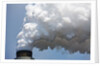 Coal-Fired Power Plant, Winfield, West Virginia by Anonymous