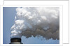 Coal-Fired Power Plant, Winfield, West Virginia by Anonymous