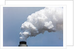 Coal-Fired Power Plant, Winfield, West Virginia by Anonymous