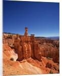Bryce Canyon National Park by Anonymous