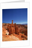 Bryce Canyon National Park by Anonymous