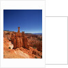 Bryce Canyon National Park by Anonymous