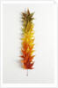 Autumn Foliage by Anonymous