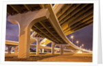 Highway Overpasses, Tampa, Florida by Anonymous