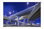 Highway Overpasses, Tampa, Florida by Anonymous