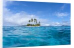 Tropical island, Micronesia by Anonymous