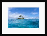Tropical island, Micronesia by Anonymous