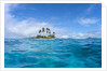 Tropical island, Micronesia by Anonymous