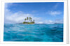 Tropical island, Micronesia by Anonymous