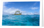 Tropical island, Micronesia by Anonymous