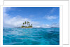 Tropical island, Micronesia by Anonymous