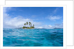 Tropical island, Micronesia by Anonymous