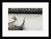 Birds on tiled roof in Xidi, China by Anonymous