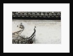 Birds on tiled roof in Xidi, China by Anonymous
