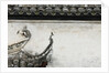 Birds on tiled roof in Xidi, China by Anonymous