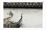 Birds on tiled roof in Xidi, China by Anonymous