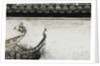 Birds on tiled roof in Xidi, China by Anonymous