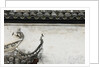 Birds on tiled roof in Xidi, China by Anonymous